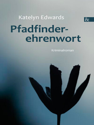 cover image of Pfadfinderehrenwort
